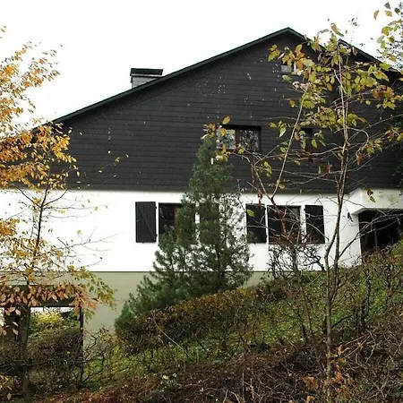 In With Barbecue Vakantiehuis Schmallenberg