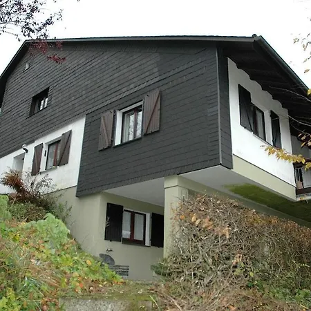 In With Barbecue Vakantiehuis Schmallenberg