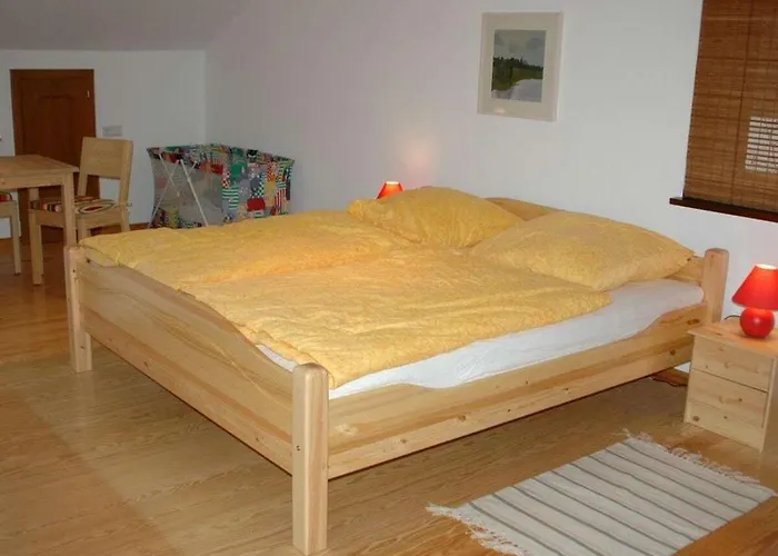 Vakantiehuis In With Barbecue