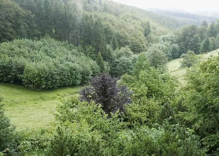 Vakantiehuis In With Barbecue Schmallenberg